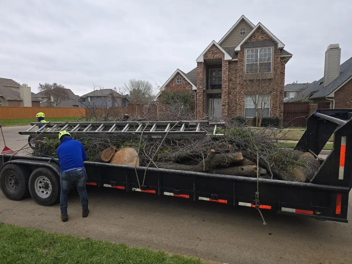 Expert Lot Clearing with proper safety equipment in Stapleton